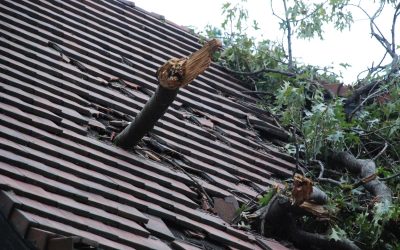 Emergency Roof Repair: What to Do When Disaster Strikes