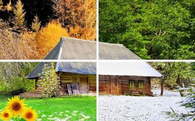 The Ultimate Guide to Seasonal Roof Maintenance: Tips for Every Season